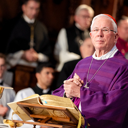 Stephansdom: Österreich nahm Abschied von Papst Franziskus